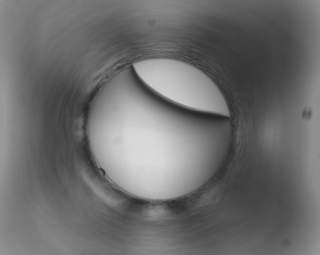 X0000110770262200906151001