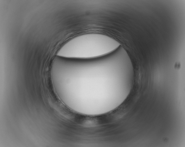 X0000110770263200906151001