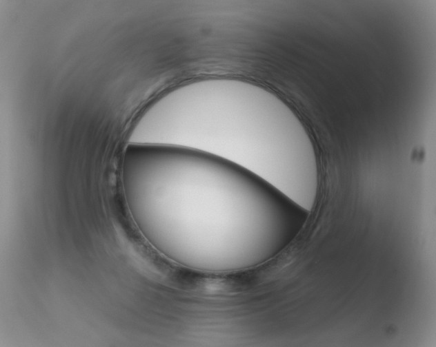 X0000110770264200906151001