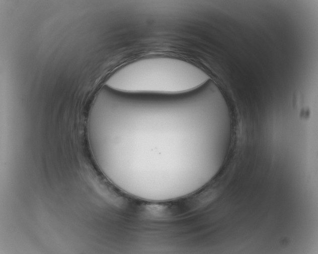 X0000110770265200906151001