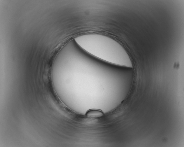 X0000110770266200906151001