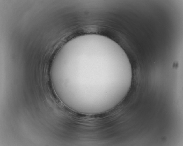X0000110770267200906151001