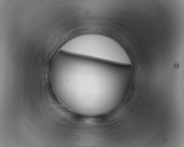 X0000110770268200906151001