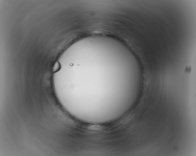 X0000110770269200906151001