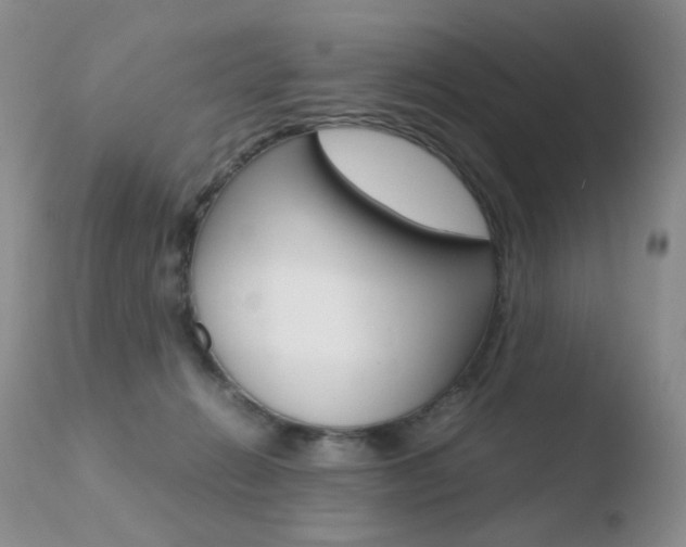 X0000110770270200906151001