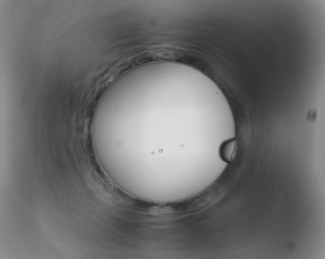 X0000110770271200906151001