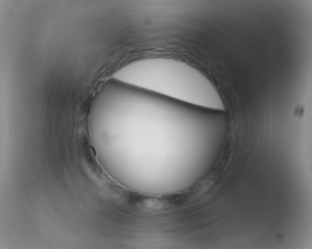 X0000110770272200906151001