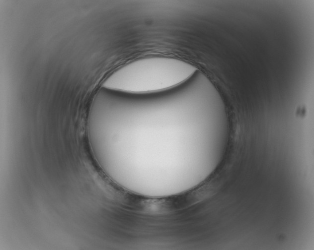X0000110770273200906151001
