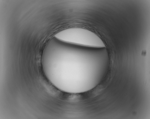 X0000110770274200906151001