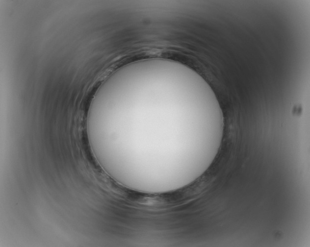 X0000110770275200906151001