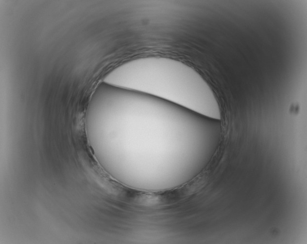 X0000110770276200906151001