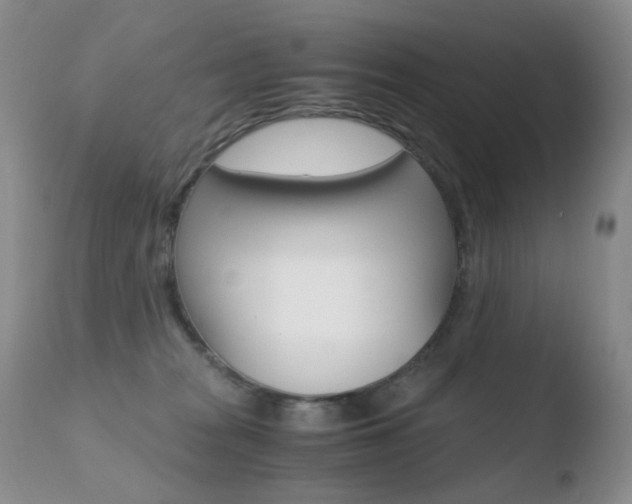 X0000110770277200906151001