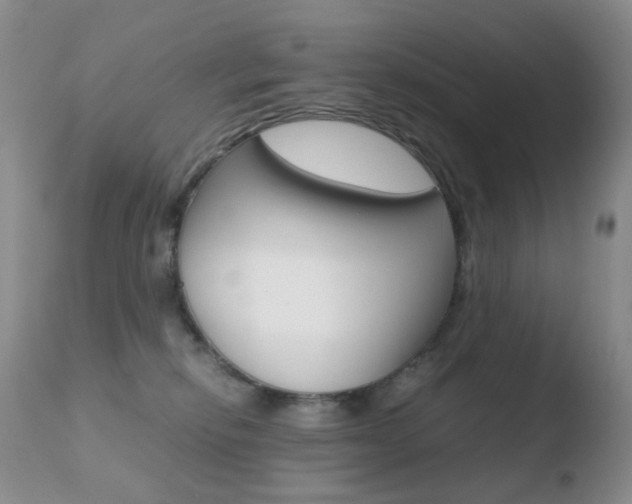 X0000110770278200906151001