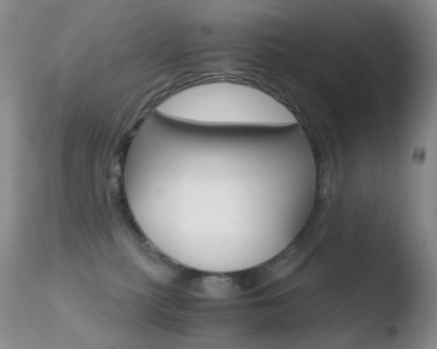 X0000110770279200906151001