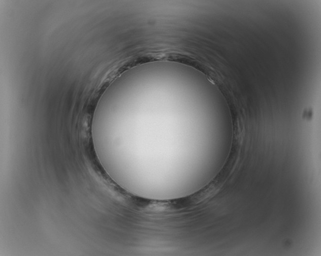 X0000110770280200906151001