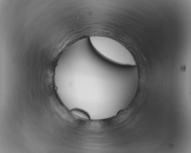 X0000110770282200906151001