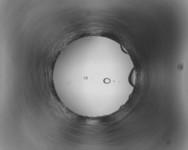 X0000110770283200906151001