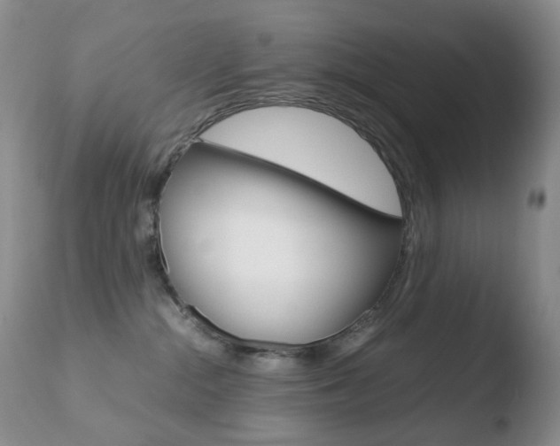 X0000110770284200906151001