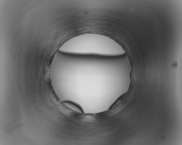 X0000110770285200906151001