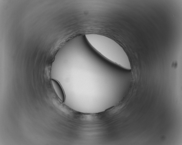 X0000110770286200906151001