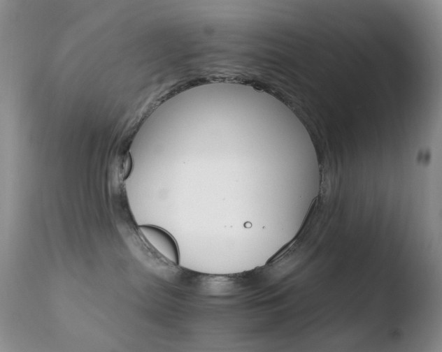 X0000110770287200906151001