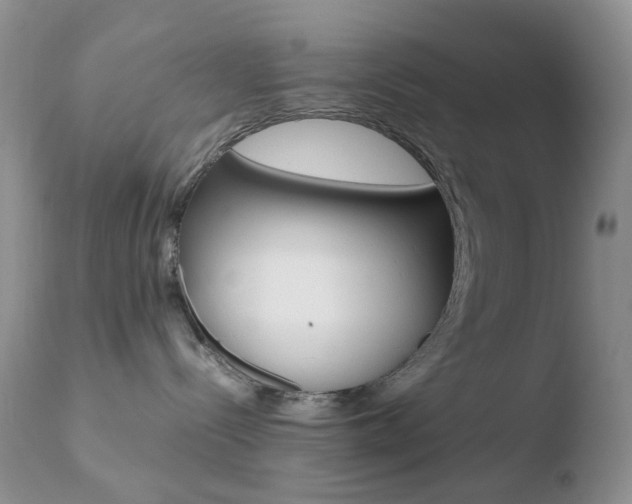X0000110770288200906151001