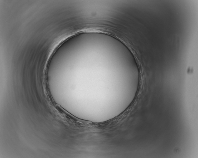 X0000110770289200906151000