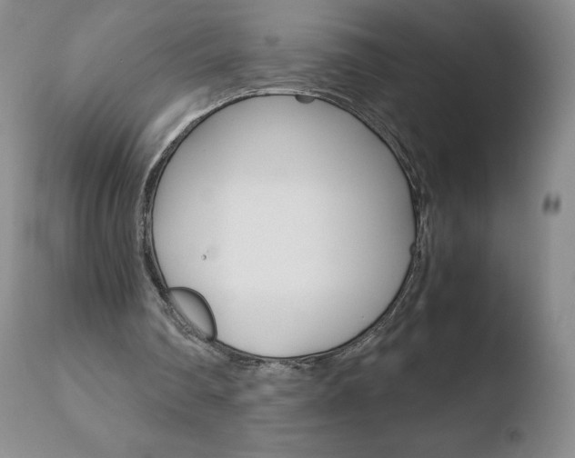 X0000110770290200906151000