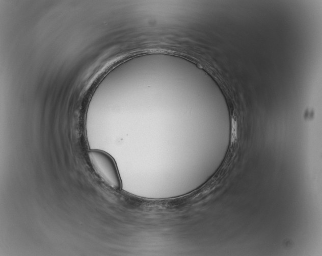 X0000110770291200906151000