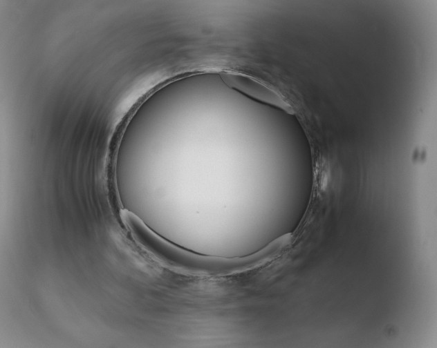 X0000110770292200906151000
