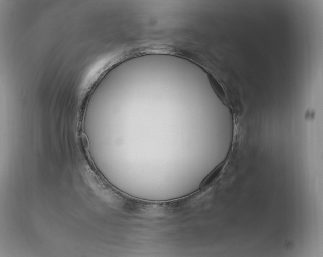 X0000110770293200906151000