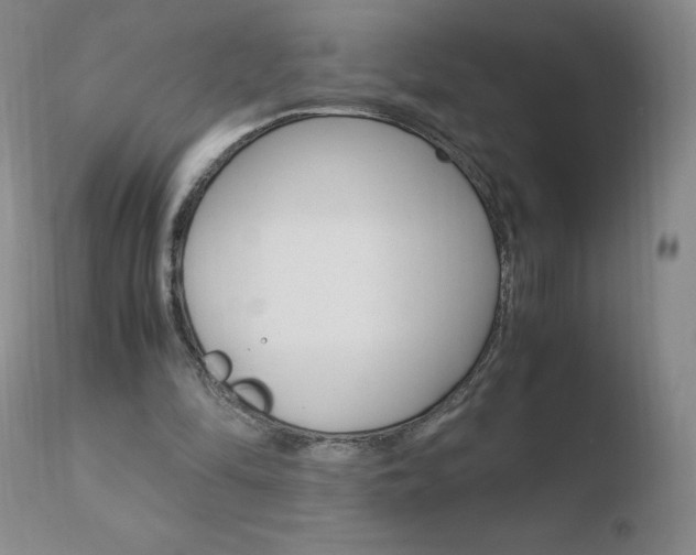 X0000110770294200906151000