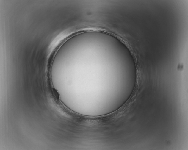 X0000110770296200906151000