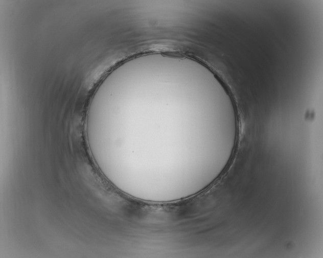 X0000110770297200906151000