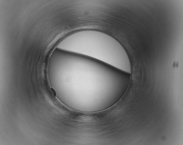 X0000110770300200906151000