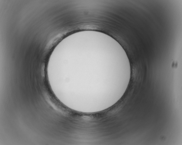 X0000110770302200906151000