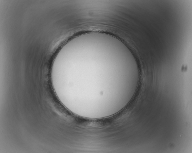 X0000110770303200906151000