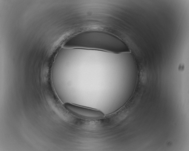 X0000110770304200906151000