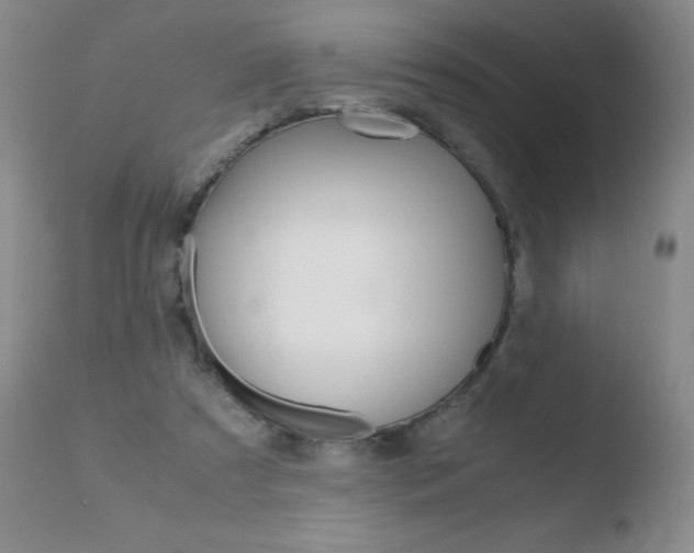 X0000110770305200906151000