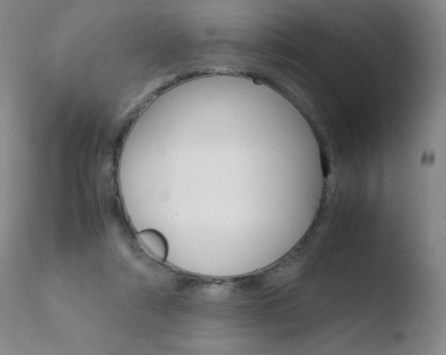 X0000110770306200906151000