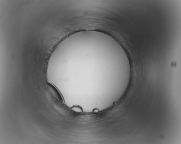 X0000110770307200906151000