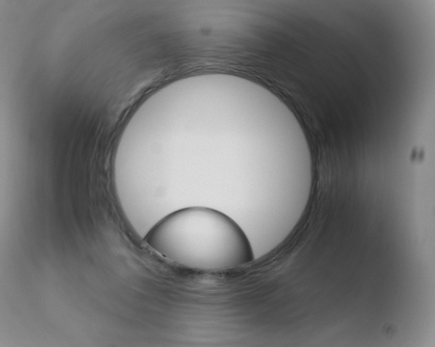 X0000110770308200906151000