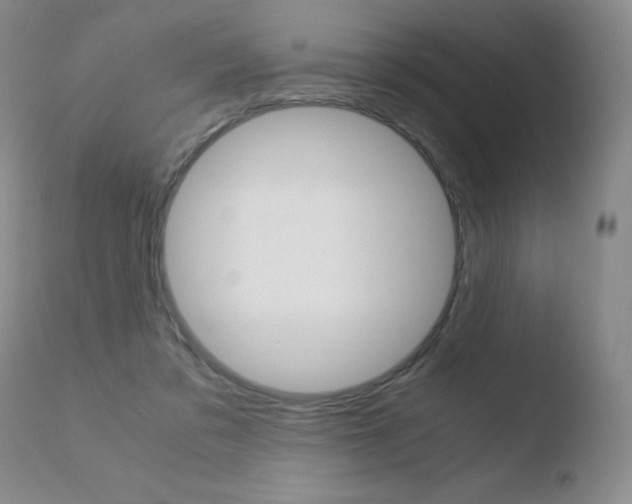 X0000110770309200906151000