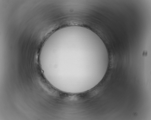 X0000110770310200906151000
