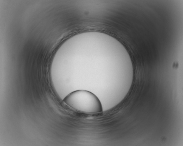 X0000110770312200906151000