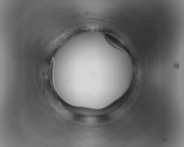 X0000110770313200906151000