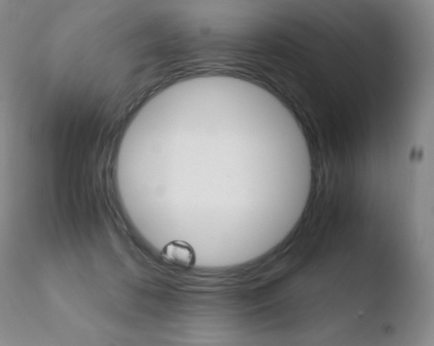 X0000110770316200906151000