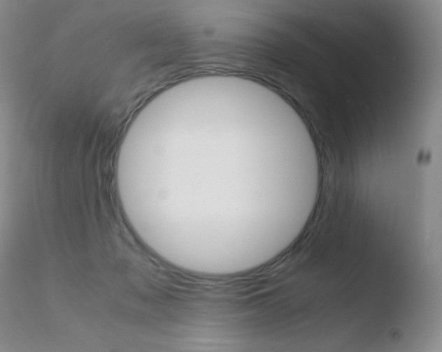 X0000110770317200906151000