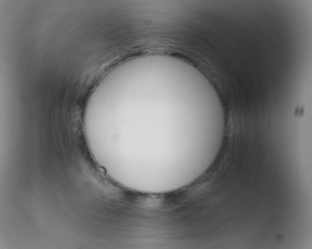 X0000110770318200906151000