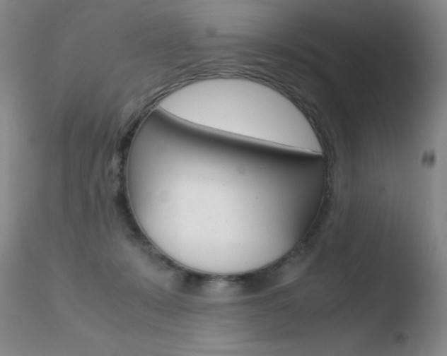 X0000110770319200906151000